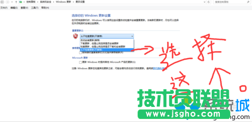 選擇&ldquo;從不檢查更新&rdquo;