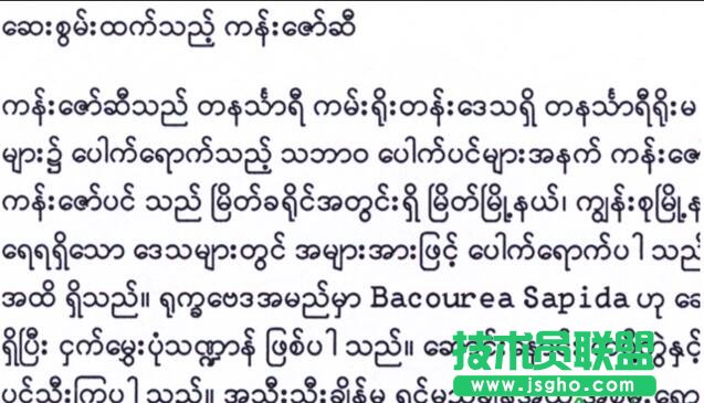 如何用ABBYY OCR識別技術在電腦上閱讀緬甸語 三聯
