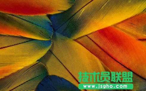 PowerPoint借助自定義形狀實現填充自定義圖片 三聯