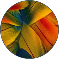 PowerPoint借助自定義形狀實現填充自定義圖片