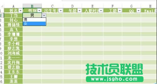 如何設置Excel的數據有效性并提示出錯警告