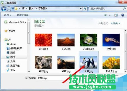 excel如何在表格中添加背景圖