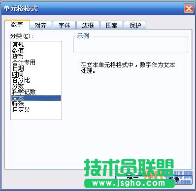 WPS表格怎樣設置文字格式