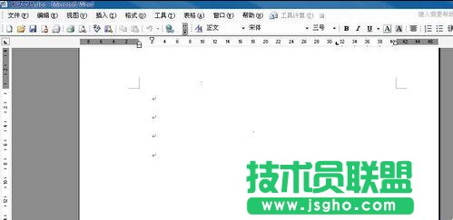 如何用word規范化數字格式