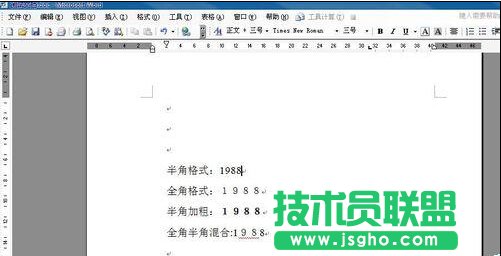 如何用word規范化數字格式