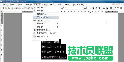 如何用word規范化數字格式