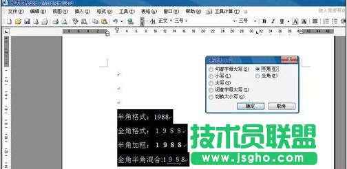 如何用word規范化數字格式