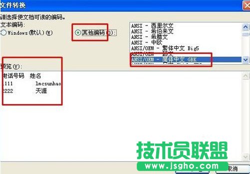 wps表格轉換文字編碼