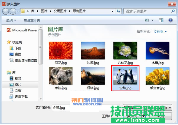 PowerPoint2013如何設置圖片發光效果
