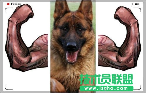 拼圖不如拼創(chuàng)意 好照片給生活加點兒料 三聯(lián)教程