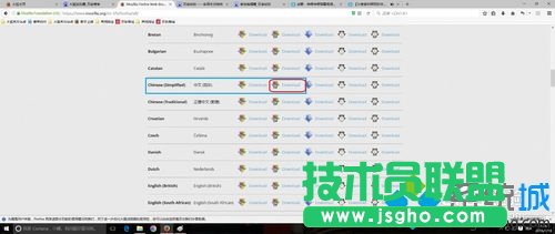 Win10 64位下火狐瀏覽器打開帶flash網頁卡死的解決步驟2