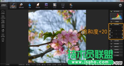 跟著好照片學后期 調出日系淡雅花卉