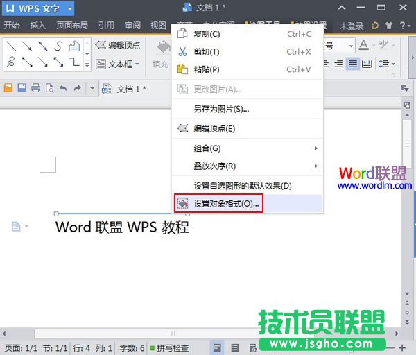設(shè)置對(duì)象格式