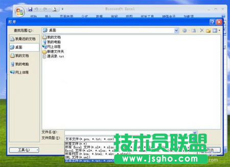 文本文檔轉換為Excel電子表格