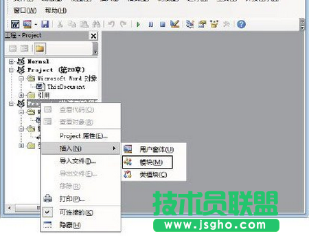 圖2　選擇&ldquo;模塊&rdquo;命令