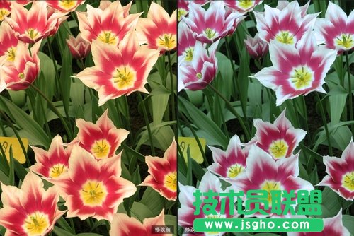 數碼后期 一鍵校正白平衡重獲好照片 三聯教程