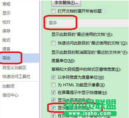 文件>選項(xiàng)>高級(jí)