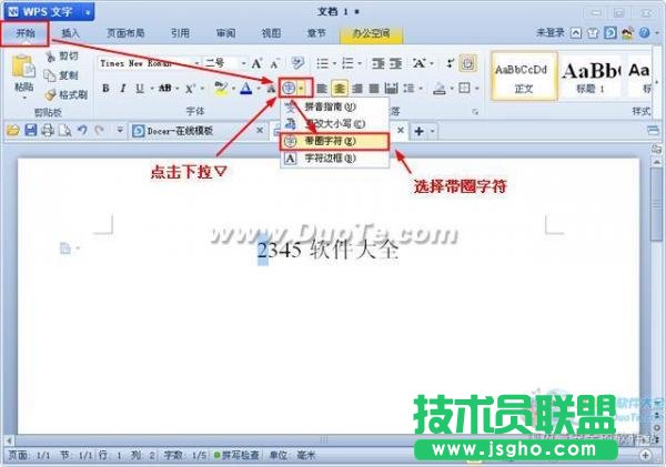 WPS文字帶圈文字輸入方法