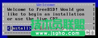 freebsd9.0安裝教程圖文詳解 三聯(lián)