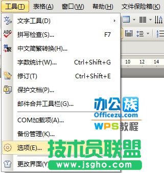 WPS文檔保密技巧，保護(hù)信息安全