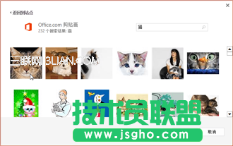 剪貼畫網站上的貓圖片示例