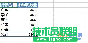 Excel教程 怎樣設置數據透視表字段分組方法