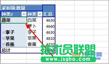 Excel教程 怎樣設置數據透視表字段分組方法