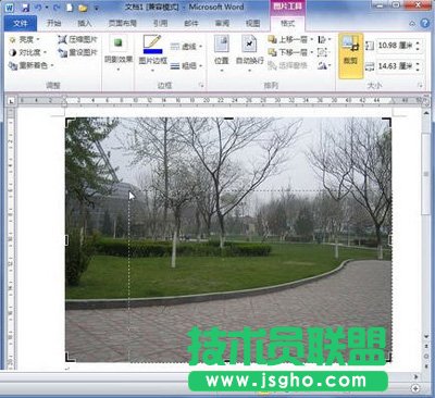 拖動控制柄裁剪圖片