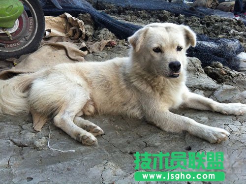 巧用濾鏡隨手都能拍得好照片 三聯教程