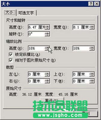 選擇Word 2007&ldquo;大小&rdquo;命令