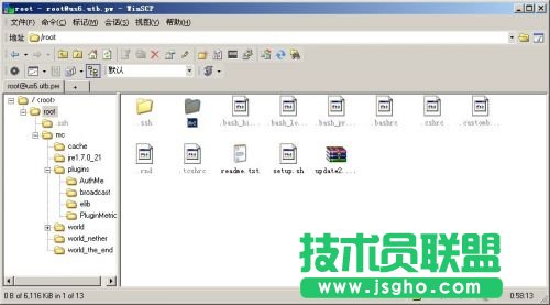 在LinuxVPS下架設Minecraft服務器