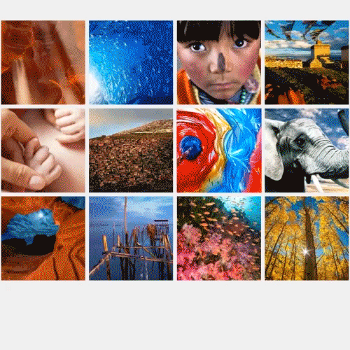 AE貝塞爾曲線制作彈性動(dòng)畫